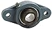 Flange Bearing, 2-Bolt, Ball, 1" Bore