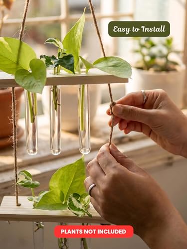 Image of 2 Tier Hanging Planter with Wooden Holder & Rope | 6 Test Tube Hanging Plant Indoor Stand | Wooden Planter for Home Decor, Living Room, Balcony & Office Decoration