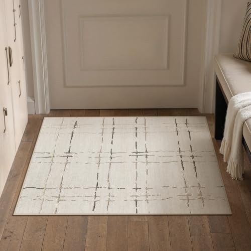 PureCozy Washable 2x3 Beige Neutral Area Rug for Entryway Non Slip Doormat