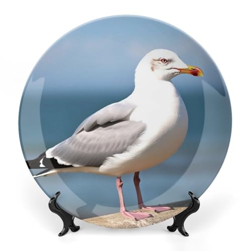 YTBKLJGD Decorative Plates for Display,Cute Seagull Print Bone China Decorative Plate with Display Stand And Hanger,Decorative Trays for Home&Office Table Wall Hanging Decor 8inch