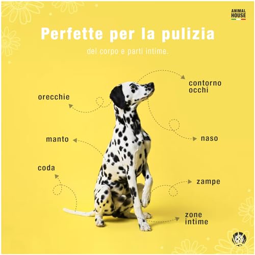 Animal House - Kamille-Reinigungstücher, 100 Stück, natürlich, feuchtigkeitsspendend und beruhigend, biologisch abbaubar und hypoallergen, für die tägliche Reinigung von Hunden und Katzen