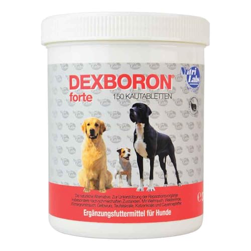 NutriLabs Dexboron forte Hunde Kautabletten 150 STK. - Tabletten mit Teufelskralle - Regenerationsmittel mit Weidenrinde, Weihrauchextrakt u.v.m.