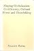 Shaping Globalization: Civil Society, Cultural Power and Threefolding