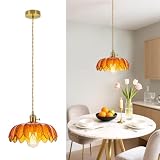 🌸 Luoghi applicabili: L'aspetto elegante e il materiale robusto rendono questa lampada a sospensione adatta a molti luoghi, come cucina, sala da pranzo, soggiorno, camera da letto, caffè, bar, corridoio, hotel, ristorante; è anche adatta ad alcuni altri luoghi, come gallerie d'arte, sale espositive, fioristi, studi e così via.