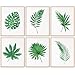 Tropical Leaves Wall Decor Art Prints - Botanical Prints Wall Art - (Set of 6) - Unframed - 8x10s