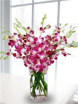 Premium Purple Orchid Bouquet with Vase (20 stems) - Thoughtful Gift