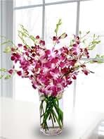 eflowerwholesale - Premium Cut Purple Orchids (20 stems with Vase) Bouquet of Purple Orchids from Thailand with Vase - Gift for Birthday, Anniversary, Thank You, Graduation (Support Small Business)