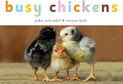 Busy Chickens (A Busy Book)
