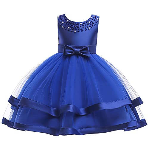 NSSMWTTC Toddler Embroidery Flower Ball Gown Dresses Graduation Frocks Girl Wedding Prom Tutu Christmas Dress (5017 Sapphire,140)