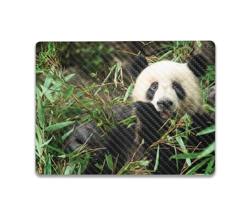 Image of MightySkins Carbon Fiber Skin Compatible with Microsoft Surface Laptop Go 3 (2023) Full Wrap Kit - Chill Panda | Protective, Durable Textured Carbon Fiber Finish | Made in The USA