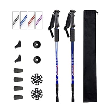 best shock absorbing trekking pole