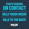 Crabgrass, Nutsedge, Weed Killer for Lawns Concentrate 24 fl oz