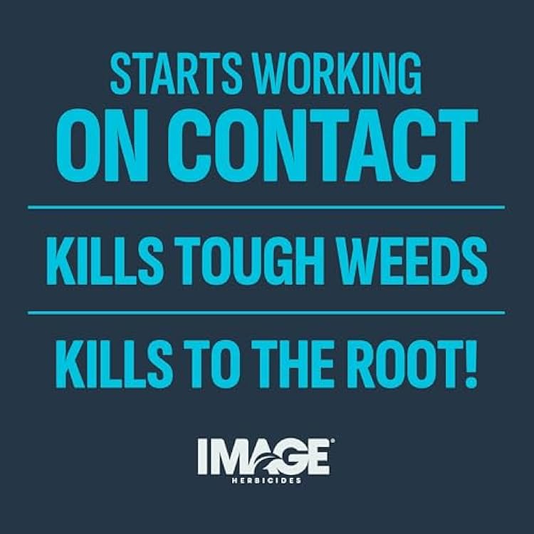 Crabgrass, Nutsedge, Weed Killer for Lawns Concentrate 24 fl oz