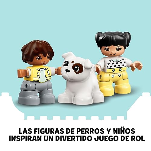 Imagen 5