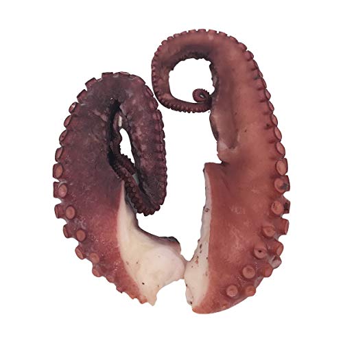 Octopus Tentacle Cooked Previously Frozen