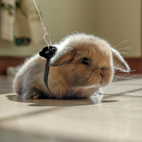 Image of 2 Pack Adjustable Hamster Leash Harness for Harness for Ferret Baby Rabbit Hamster Rat Mouse Leash Lead with Bell (Black)