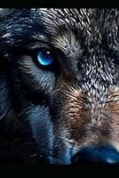 Wolf-Warrior.: A modern day tale of the Ulfhednar. B0F5NT7MHD Book Cover