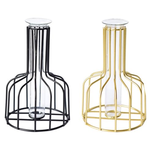 Ieron Jarrón de Flores con Marco de Metal Negro y Dorado con Tubo de ensayo de Vidrio Transparente – Jarrón Decorativo...