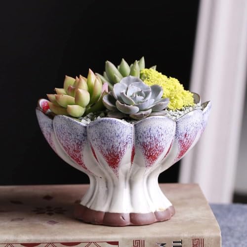 Jardineras Exterior Balcon con Plato Marca Generic