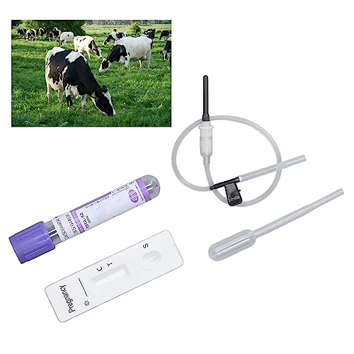 Image of Bovine Cow Rapid Early Pregnant Pregnancy Test Kit with Colloidal Gold Method, & Fully Equipped, Suitable for Cows Over 28 Days Old, Dairy Livestock