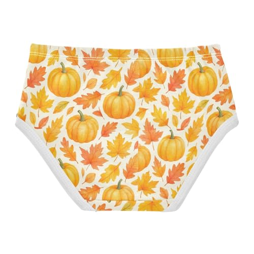 Animal Toddlers Underwear Floral 2t Cotton Cute Panties Girl Pumpkins Autumn Leaves Orange Underpants Briefs2