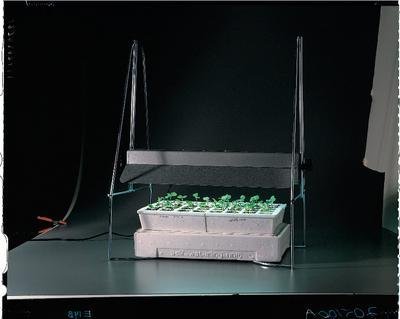 growers supply company grow lights