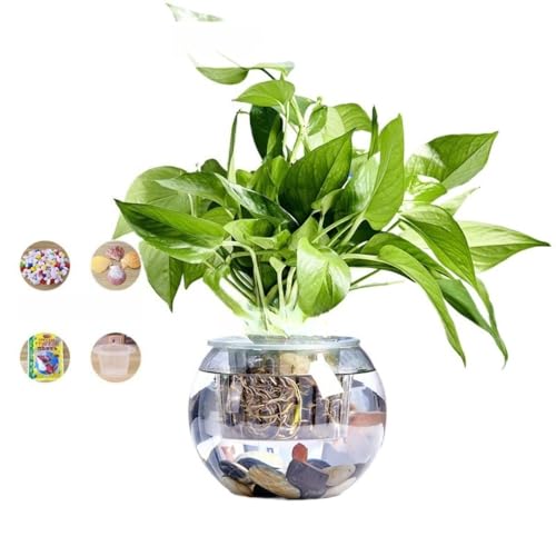 Angoda   KX ~`i ^ ItBXp rOp fXNgbvp p (25CM,{[{J[Xg[5_Zbg{A̓oXPbg)