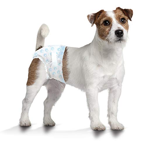 Image of Four Paws Wee-Wee Super Absorbent Disposable Adjustable Dog Potty Training Diapers, Leak-Proof Protection for Dogs, 12 inch - 15 inch Waist, Size Small, 36 Count (Pack of 8)