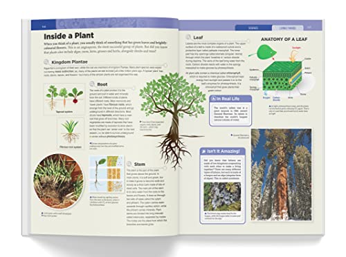 Knowledge Encyclopedia: Science thumb #6