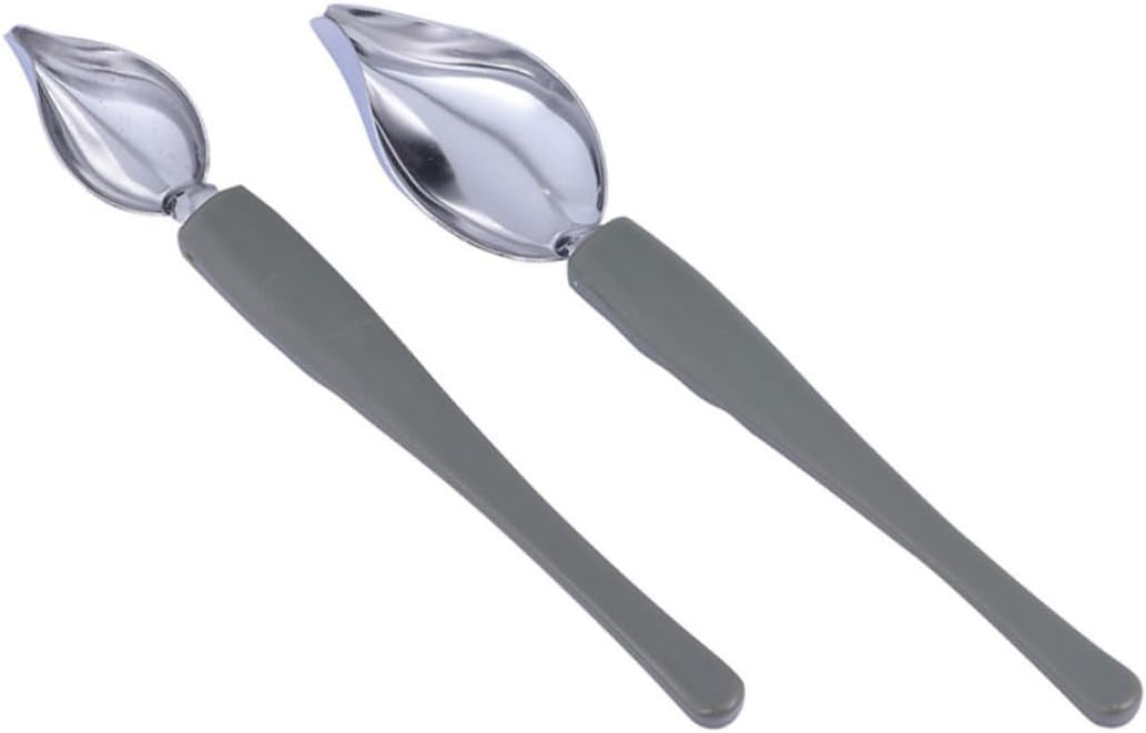 2 Pcs Stainless Steel Painting Spoon for Sauce Plating