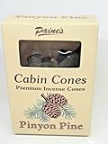 Pinyon Pine #25 Incense Log Cabin Cones Paine's Maine USA Campfire Camping