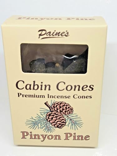 Pinyon Pine #25 Incense Log Cabin Cones Paine's Maine USA Campfire Camping