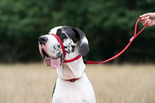 UniWalker Figure of 8 Dog Training Lead For Dogs That Pull. Soft, Padded.& Comfortable. 3 uses in 1 lead. Red