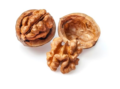 5 Seeds English Walnut aka Common, Hardy Carpathian, Persian Nut Fruit Tree Juglans Regia Orientis