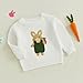 Kids Baby Girl Boy Easter Outfit Rabbit Embroidery Long Sleeve Pullover Knit Sweater Toddler Spring Bunny Sweatshirt (White, 3-4 Years)