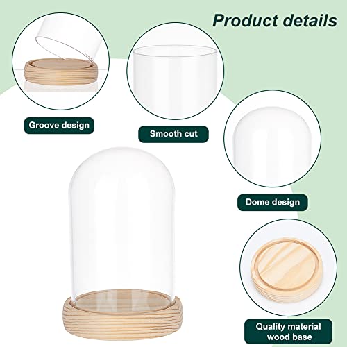 PH PandaHall Glass Display Dome Cloche - Image 4