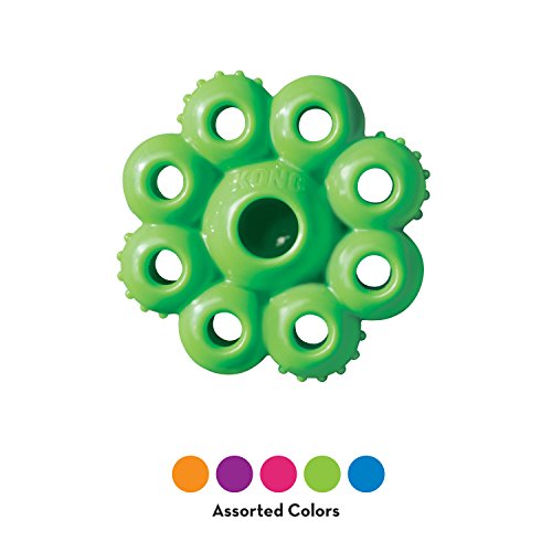 KONG – Quest Star Pod – Leckerlispender für Leichtes bis Mittelstarkes Kauen (Farbvar.) – Für Kleine Hunde