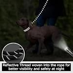 Reflective Dog Leash with Padded Handle, Heavy Duty Lead for Large, Medium, and Small Dogs, 1.5cm x 2m (Black)