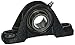 Hub City IndustriaLine 1001-01009 PB251X1 Pillow Block Bearing, 1" ID, 2" Height, 6" Length, 3" Width, Metal