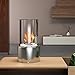 Regal Flame Eden Ventless Tabletop Portable Bio Ethanol Fireplace in Stainless Steel