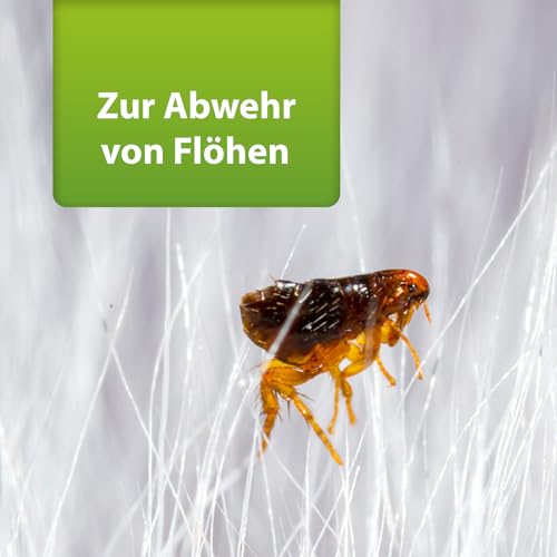 ARDAP Repell Flohspray für Wohnung und Möbel 400ml - Alternative zum ARDAP Fogger gegen Flöhe / Floh Fogger - Flohmittel für Wohnung - Umgebungsspray Flöhe - Wirkt schnell & effektiv (PT19)