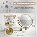 LEDOOLE Make up Mirror Wall Mounted Lighted 10X Magnifying Hard Wired, Double Sides 3 Color Lighting Touch Dimming, 360 Swivel Extended Arm Shaving Light up Mirror for Bathroom, Antique Brass