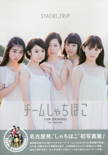 チームしゃちほこ