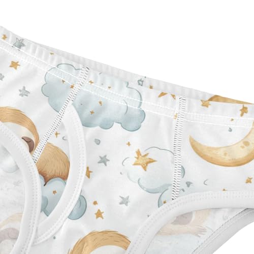 Wusikd Cute Sloth Boys' Underwear Cotton Clouds Moon Stars Boys Briefs Soft Toddler Underwear 2T4