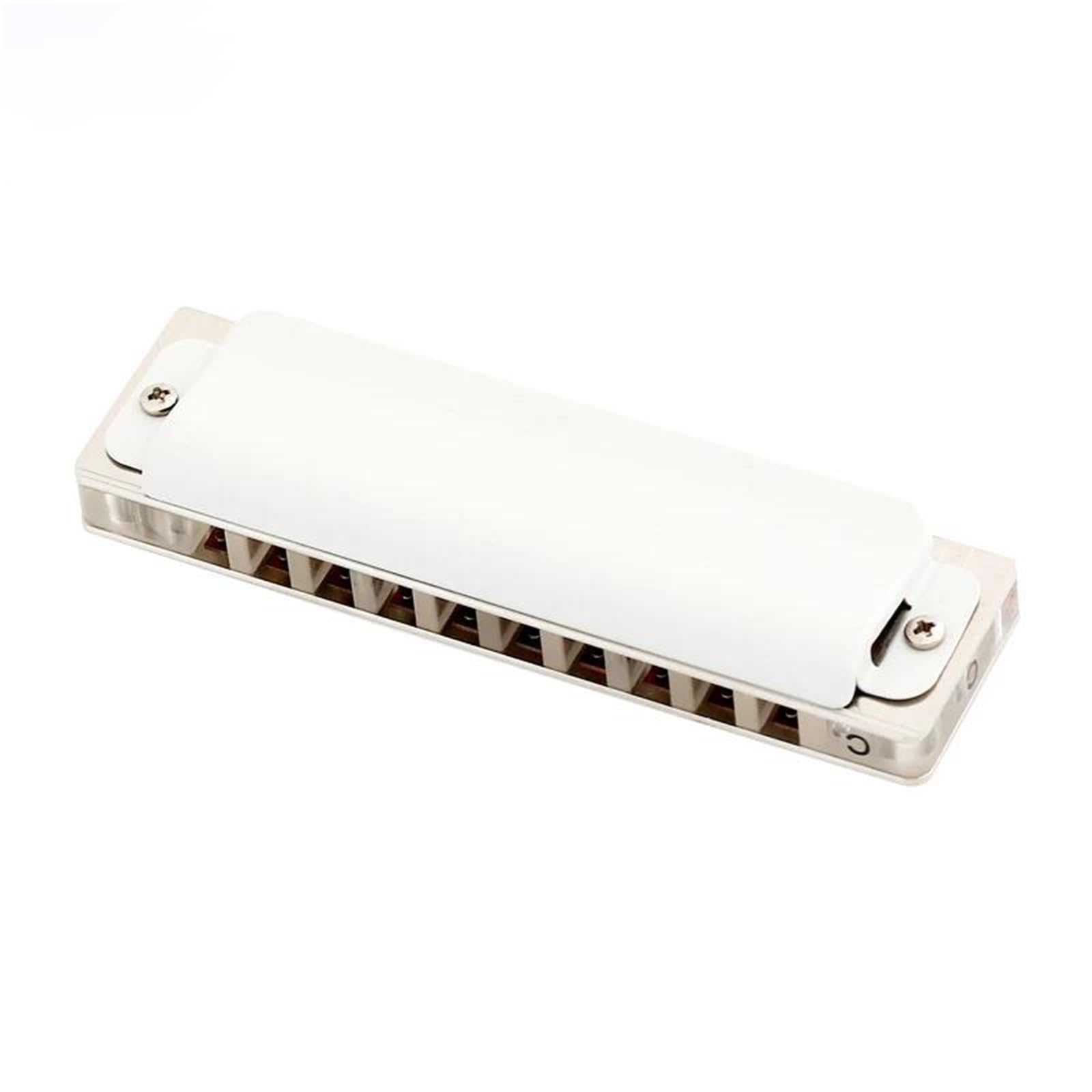 Armoniche a bocca Armonica Blues Diatonica In Do 10 Fori 20 Toni Blues Harp Armonica A Bocca Armonica Per Principianti Professionisti(G)