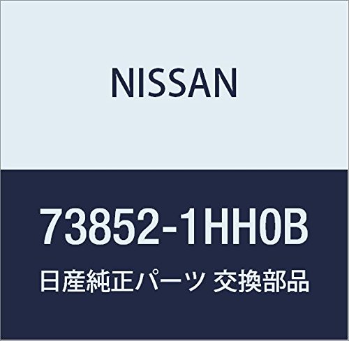 Amazon.co.jp: NISSAN (日産) Genuine Parts Molding Roof Drip RH