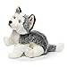 Nat and Jules Playful Large Husky Dog Children's Plush Stuffed Animal Toy