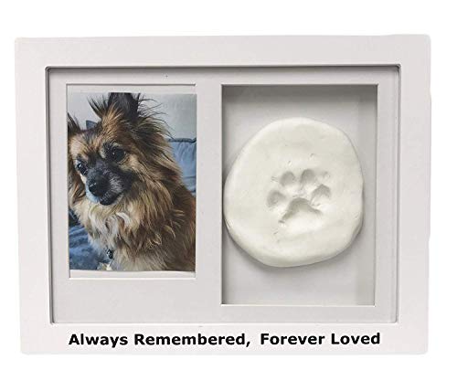 Midlee Always Remembered, Forever Loved White Pet Frame with Imprint Clay
