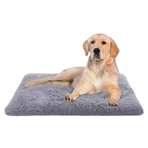 Paco Home Hundebett Katzenbett Flauschig Hundekissen Donut Hundedecke Hund Katze Hundekörbchen Katzenkorb Waschbar, Farbe:Grau, Größe:60x100 cm