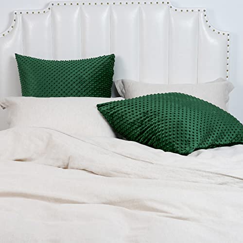 Phf Minky Dot Euro Sham Covers 26"X 26", 2 Pack Soft Cozy Minky Bubble Real Velvet Throw Pillow Covers, No Insert, Home Decorative Square Pillowcase Cushion Cover For Couch Sofa Bed, Green #TOP5